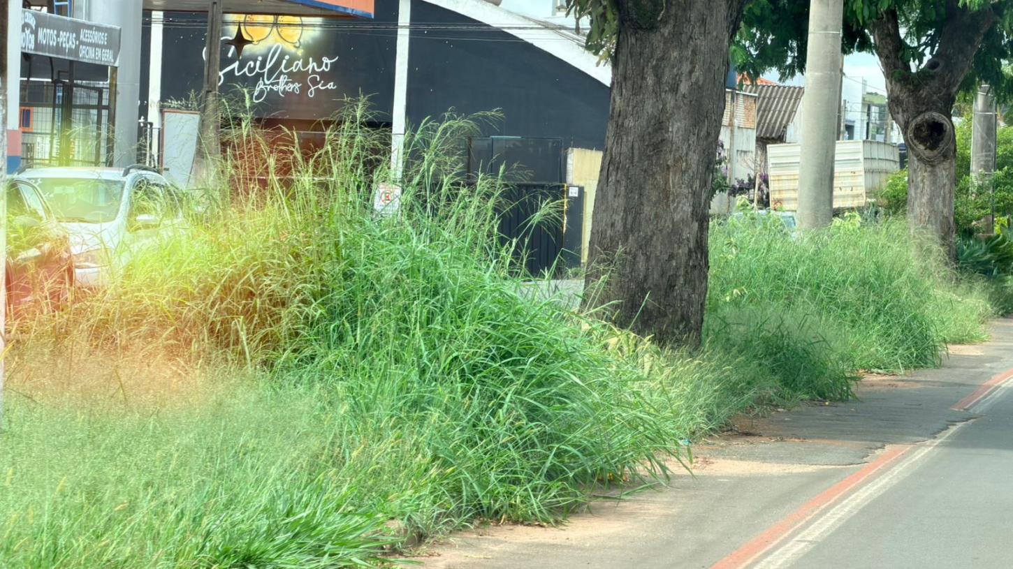 Moradores reclamam de mato alto na Avenida 10 de Abril